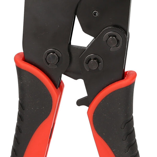 FOT_PRO_VAR_115.1120.6_SALL_AING_V1