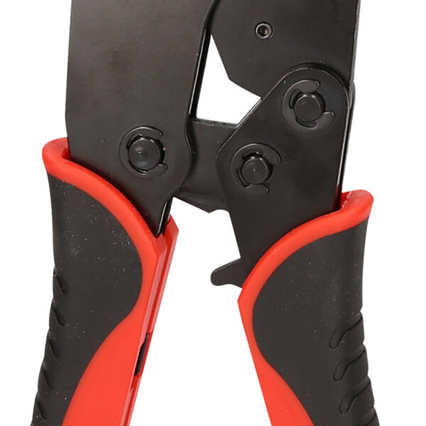 FOT_PRO_VAR_115.1115.6_SALL_AING_V1