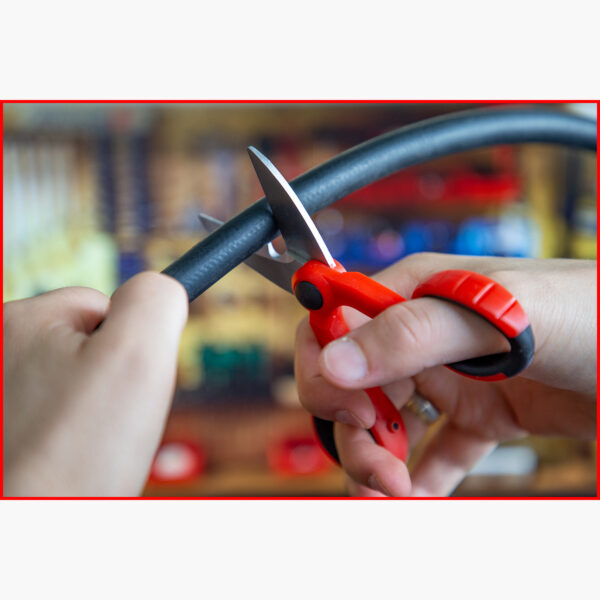 FOT_ANW_ALG_SCHESAE_118.0013.AW2_SALL_AING_V1