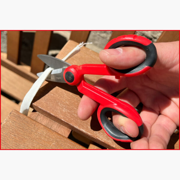 FOT_ANW_ALG_SCHESAE_118.0013.AW5_SALL_AING_V1