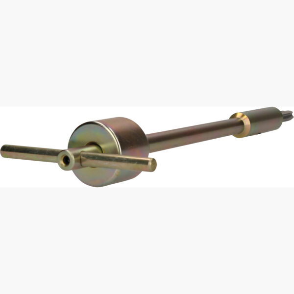 FOT_PRO_VAR_460.4321.2_SALL_AING_V1