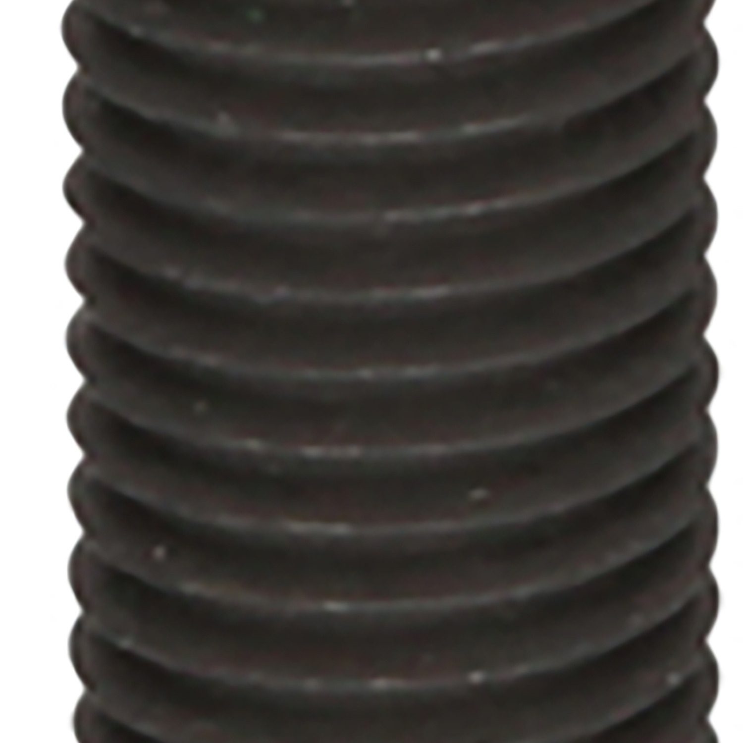 FOT_PRO_ALG_460.4511_SALL_AING_V1