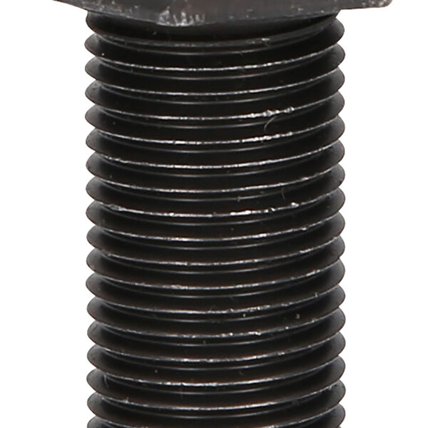 FOT_PRO_ALG_460.4473_SALL_AING_V1