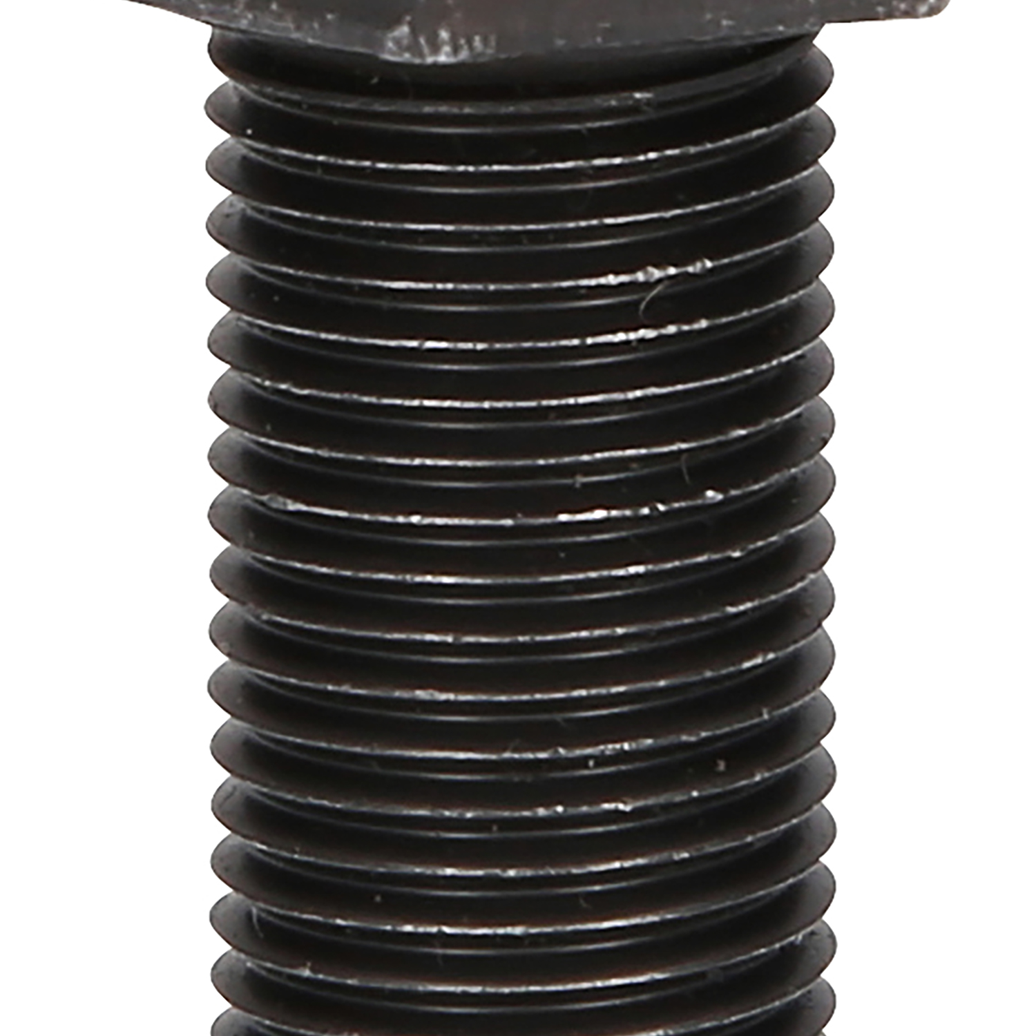 FOT_PRO_ALG_460.4473_SALL_AING_V1