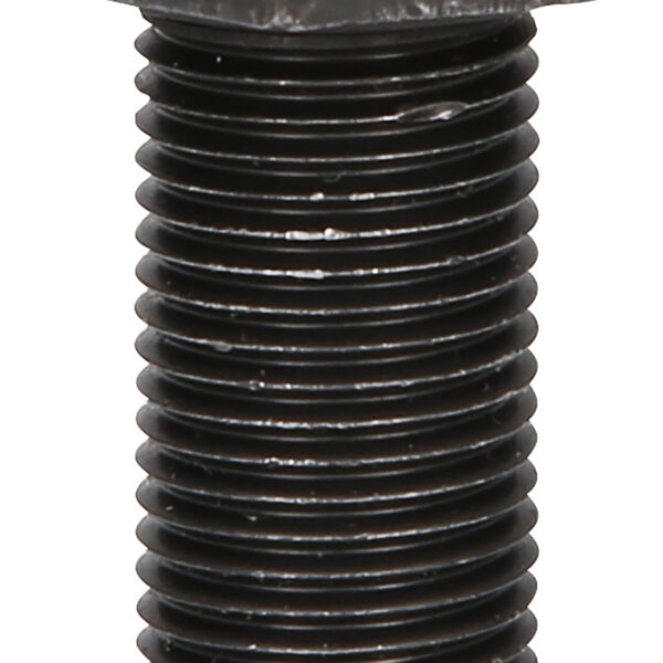 FOT_PRO_VAR_460.4473.2_SALL_AING_V1