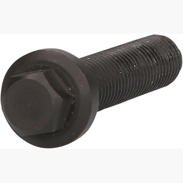 FOT_PRO_VAR_460.4469.2_SALL_AING_V1