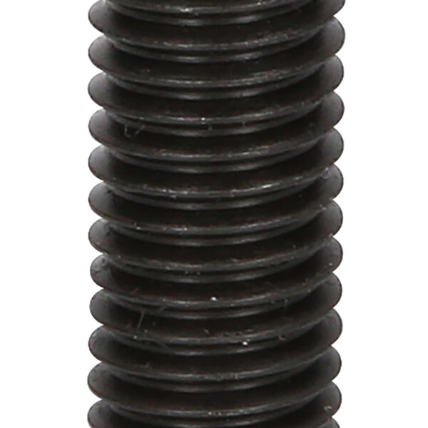 FOT_PRO_VAR_460.4469.6_SALL_AING_V1