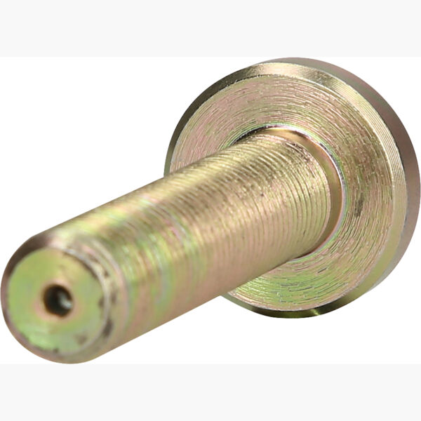 FOT_PRO_ALG_460.4404_SALL_AING_V1