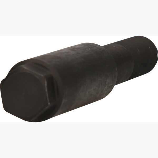 FOT_PRO_VAR_460.4333.2_SALL_AING_V1