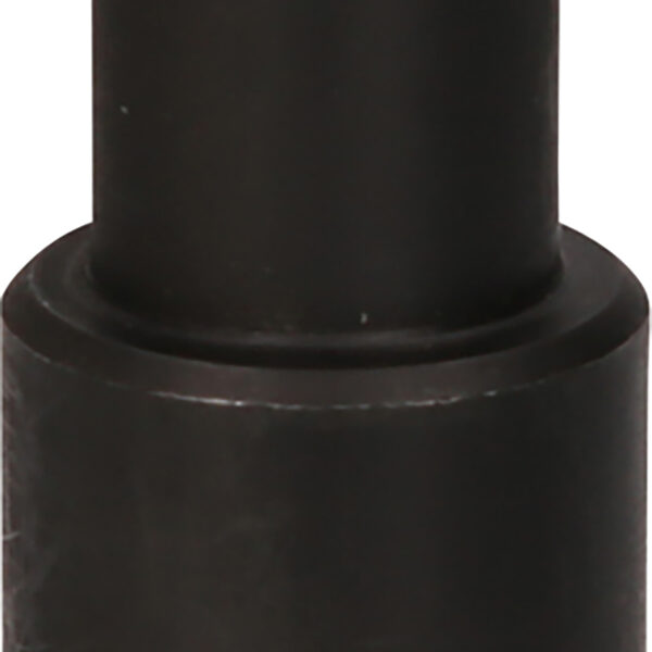 FOT_PRO_VAR_460.4333.4_SALL_AING_V1