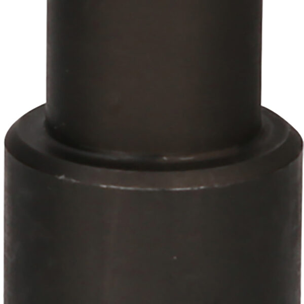 FOT_PRO_VAR_460.4333.6_SALL_AING_V1