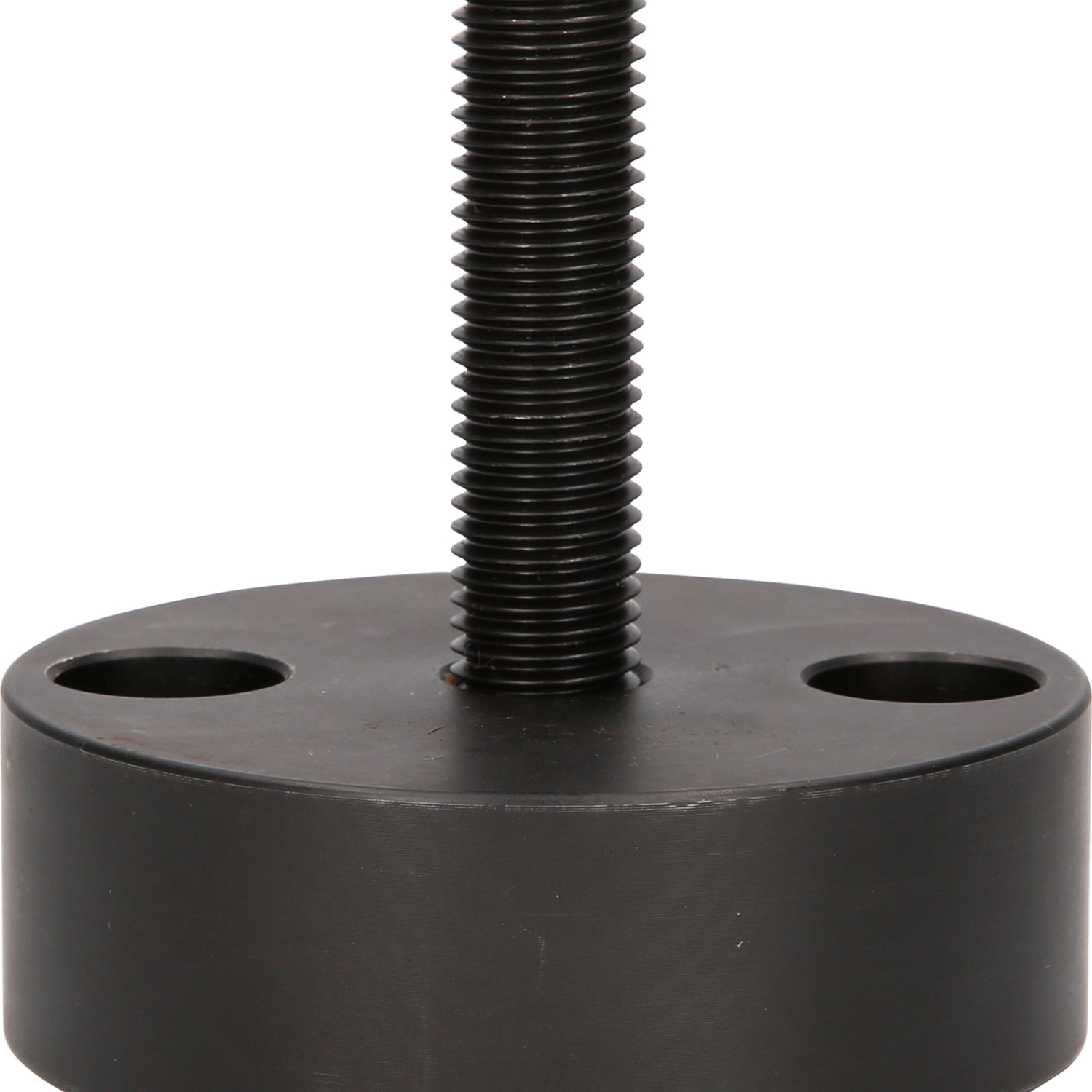 FOT_PRO_ALG_460.4287_SALL_AING_V1