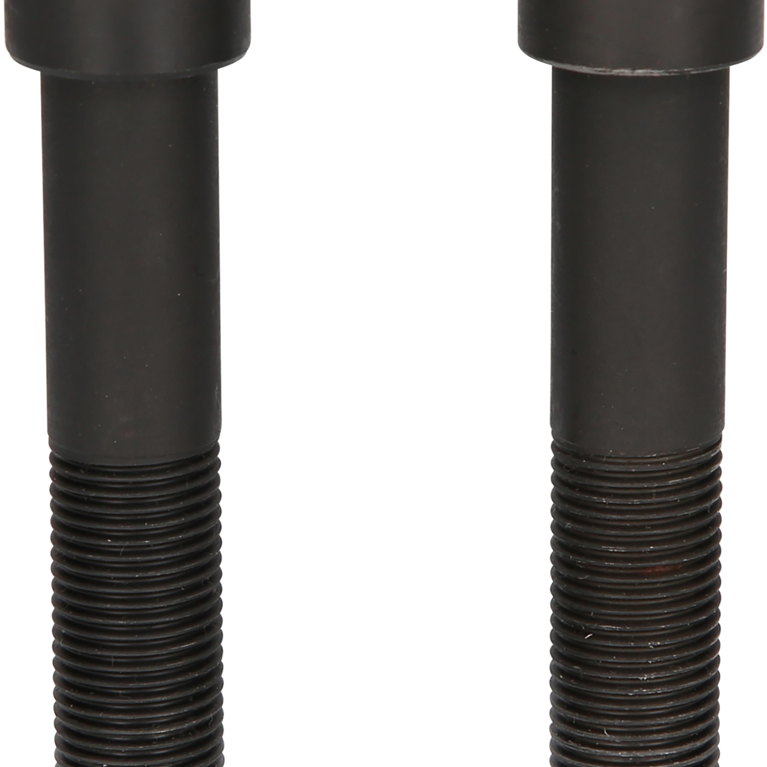 FOT_PRO_ALG_460.3786_SALL_AING_V1