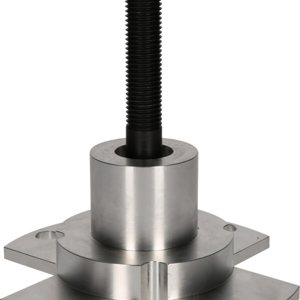 FOT_PRO_VAR_460.3782.2_SALL_AING_V1