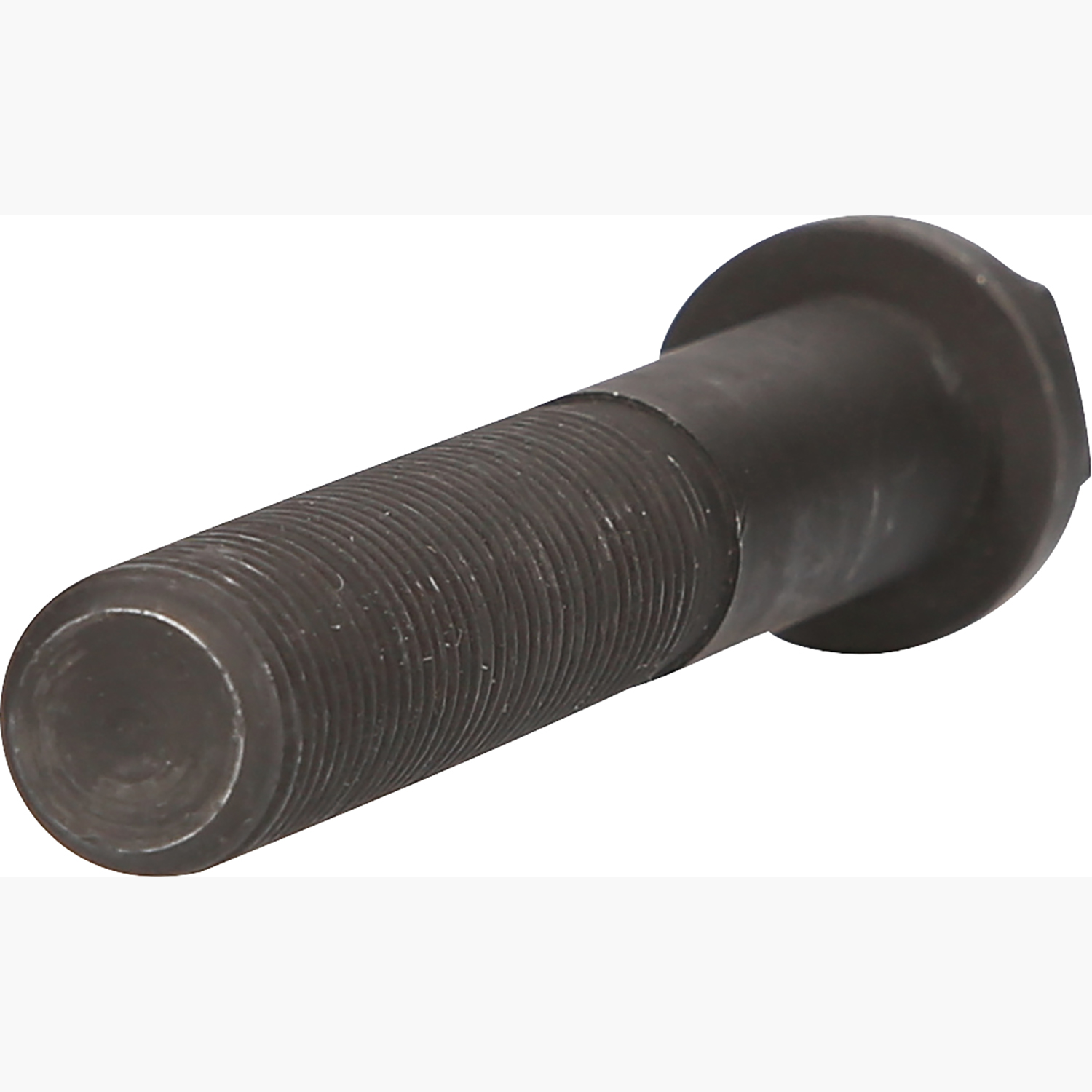 FOT_PRO_ALG_460.3748_SALL_AING_V1