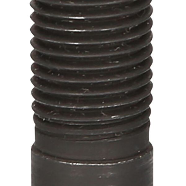 FOT_PRO_VAR_460.3748.4_SALL_AING_V1