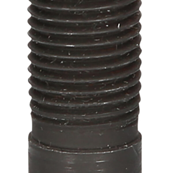 FOT_PRO_VAR_460.3748.6_SALL_AING_V1