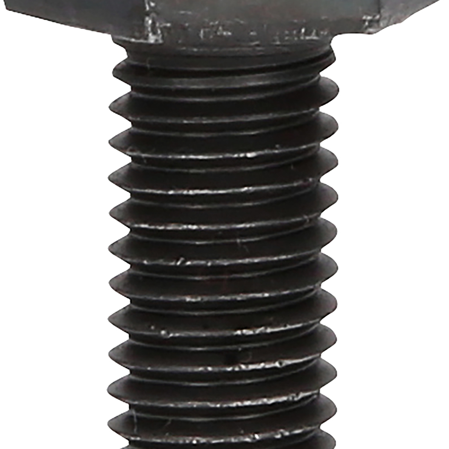 FOT_PRO_ALG_460.3673_SALL_AING_V1