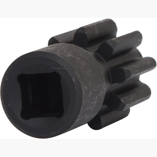 FOT_PRO_VAR_455.0106.2_SALL_AING_V1