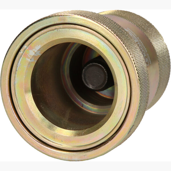 FOT_PRO_ALG_460.4470_SALL_AING_V1