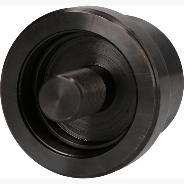 FOT_PRO_ALG_460.4280_SALL_AING_V1