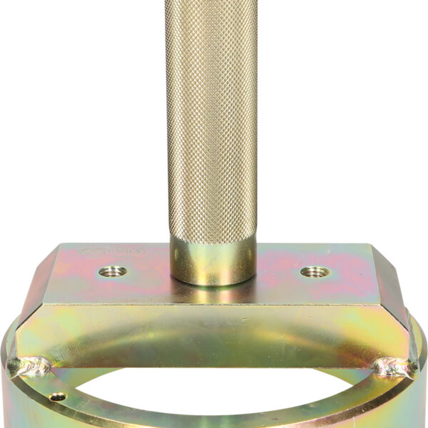 FOT_PRO_ALG_460.3955_SALL_AING_V1