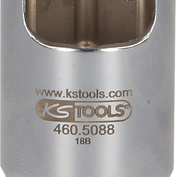 FOT_PRO_VAR_460.5088.4_SALL_AING_V1