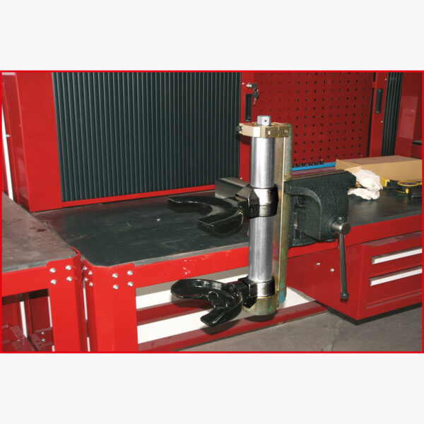 FOT_ANW_ALG_AUTO_500.8404.AW3_SALL_AING_V1