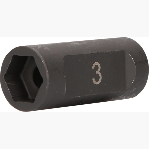 FOT_PRO_ALG_913.1521_SALL_AING_V1