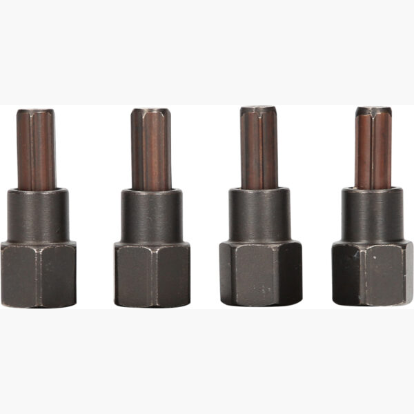 FOT_PRO_ALG_913.1512_SALL_AING_V1