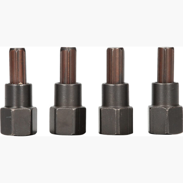 FOT_PRO_VAR_913.1512.2_SALL_AING_V1