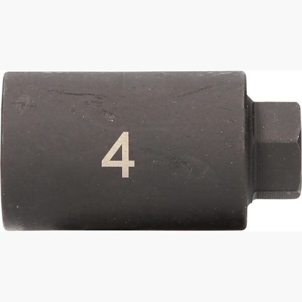 FOT_PRO_ALG_913.1508_SALL_AING_V1