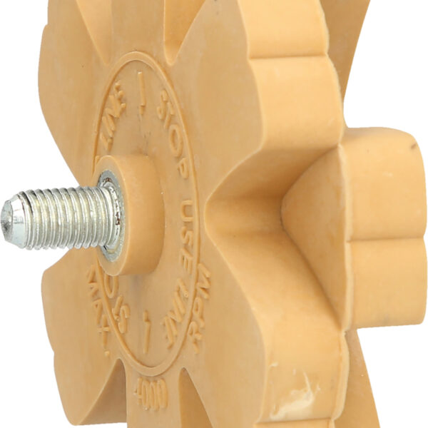 FOT_PRO_ALG_515.1248_SALL_AING_V1