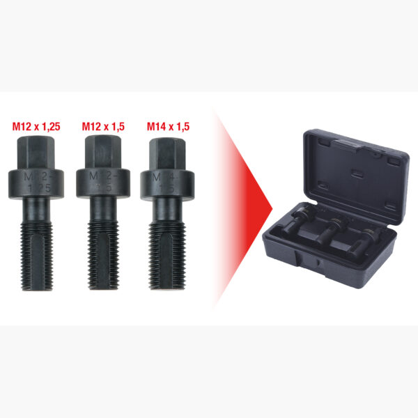 FOT_GES_ALG_150.1355.GB_SALL_AING_V1