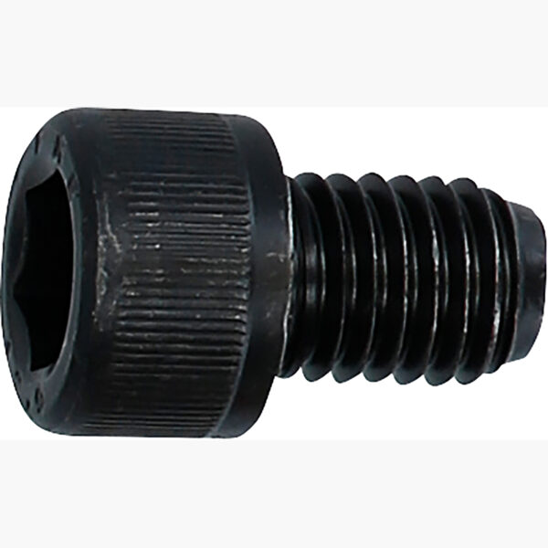 FOT_PRO_ALG_AUTO_150.2747_SALL_AING_V1