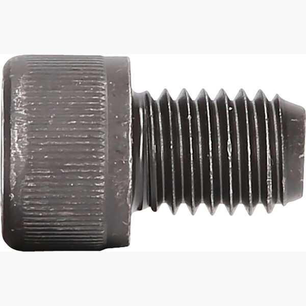 FOT_PRO_ALG_150.2747_SALL_AING_V1