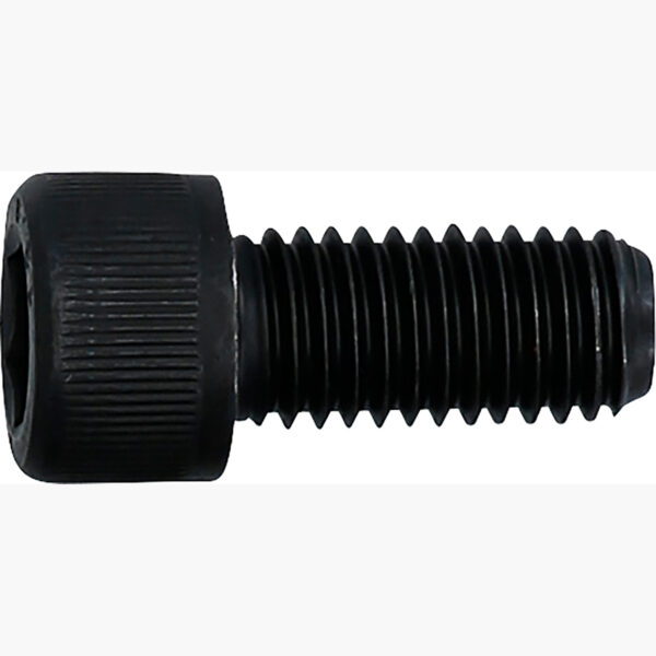 FOT_PRO_ALG_AUTO_150.2746_SALL_AING_V1