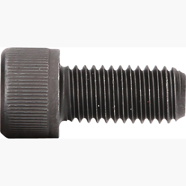 FOT_PRO_ALG_150.2746_SALL_AING_V1