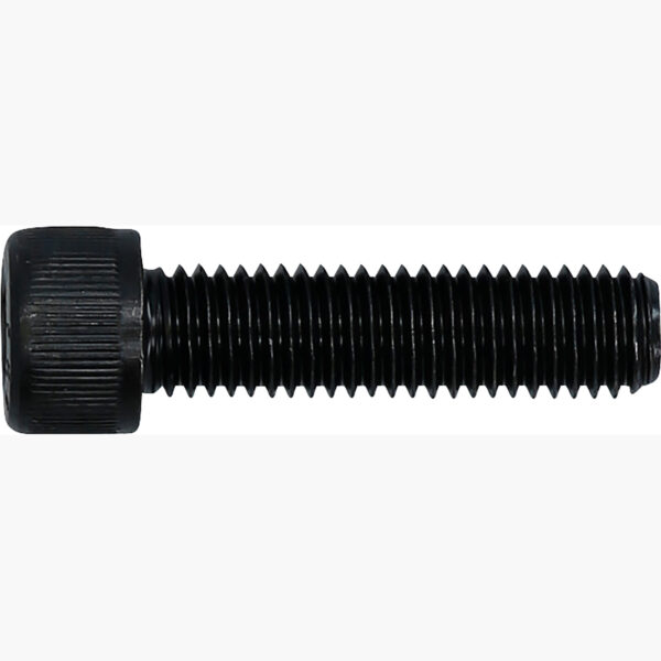 FOT_PRO_ALG_AUTO_150.2744_SALL_AING_V1