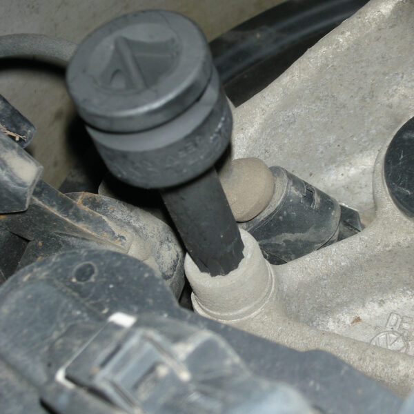 FOT_ANW_ALG_STK_515.1170.AW2_SALL_AING_V1