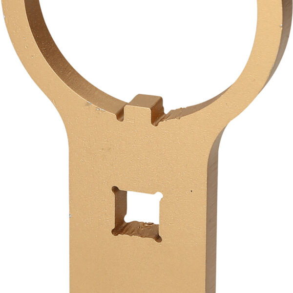 FOT_PRO_ALG_150.9704_SALL_AING_V1