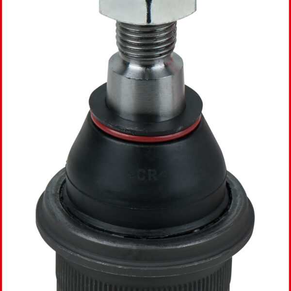 FOT_ANW_ALG_AUTO_440.0230.AW1_SALL_AING_V1