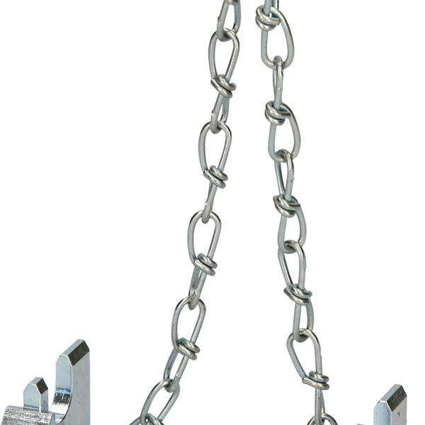 FOT_PRO_ALG_150.9778_SALL_AING_V1