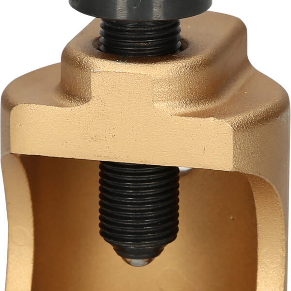 FOT_PRO_ALG_670.0110_SALL_AING_V1