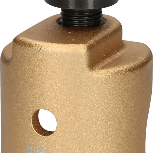 FOT_PRO_VAR_670.0110.2_SALL_AING_V1