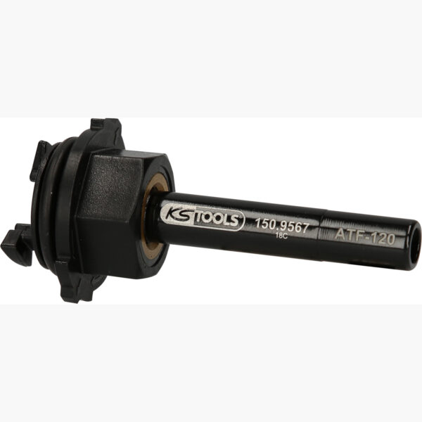 FOT_PRO_ALG_150.9567_SALL_AING_V1