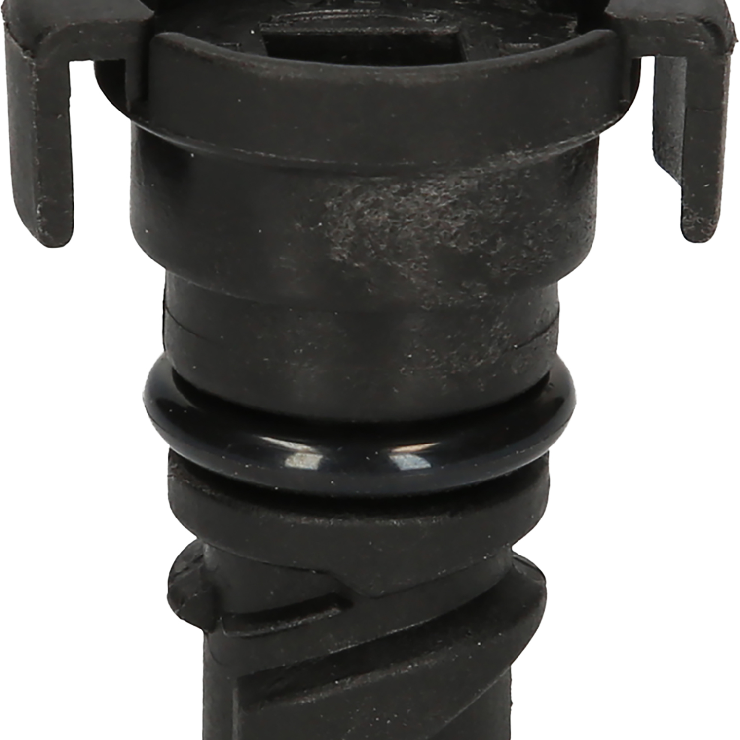 FOT_PRO_ALG_AUTO_430.1074_SALL_AING_V1