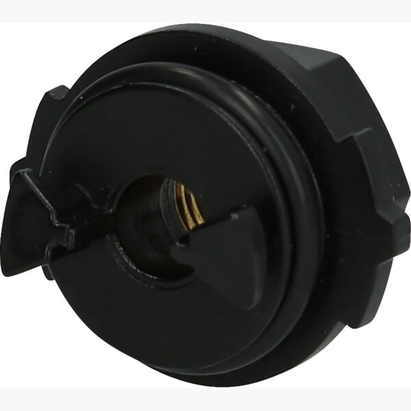 FOT_PRO_ALG_150.9696_SALL_AING_V1