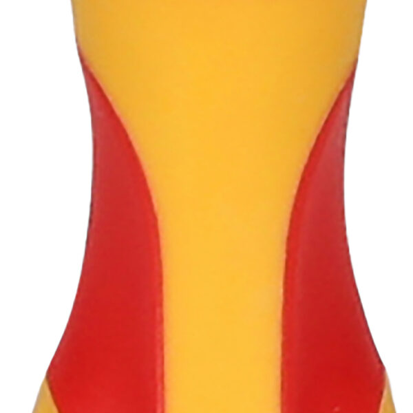 FOT_PRO_VAR_500.6144.2_SALL_AING_V1