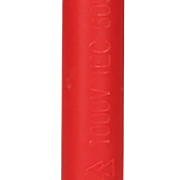 FOT_PRO_ALG_117.1534_SALL_AING_V1